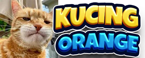 Kucing Orange Apk